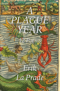 A Plague Year | 12 Poems | Front Cover
