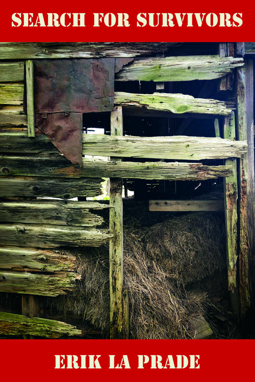 SEARCH FOR SURVIVORS