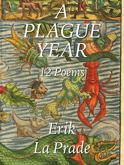 A Plague Year | 12 Poems | Front Cover